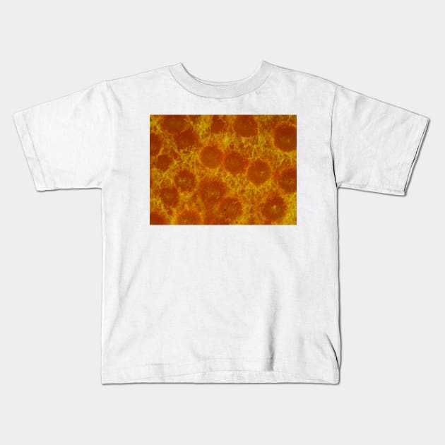 Lobster mushroom under the microscope, reflected light Kids T-Shirt by SDym Photography